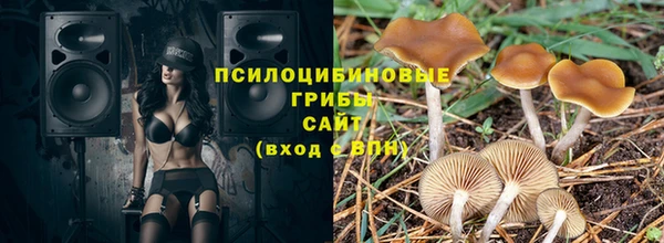 МДПВ Богородск