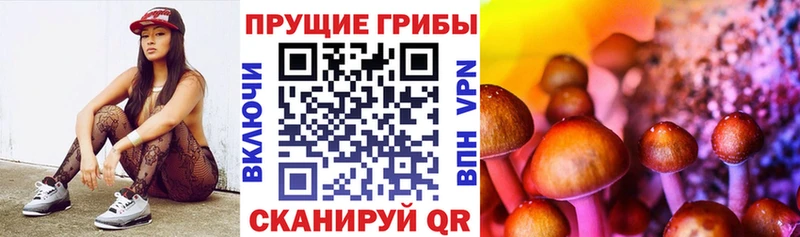 Купить  Можайск  Галлюциногенные грибы ЛСД 